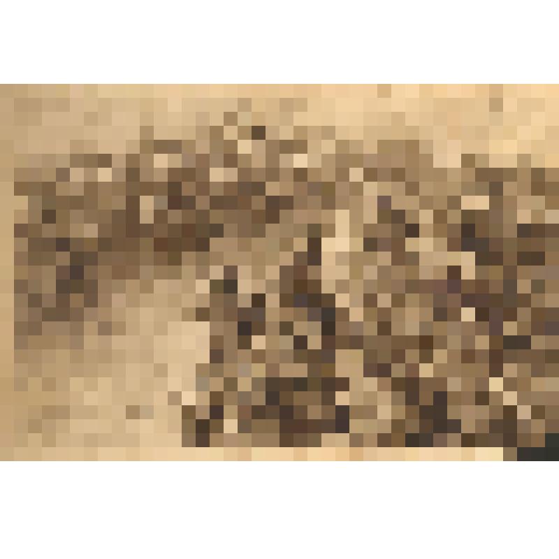 Открытка. Французские кирассиры. (Европейская война, 1914 г.)