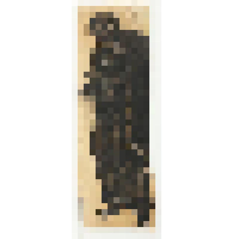 Рисунок. "Эскиз костюма няни к опере "Князь Игорь"