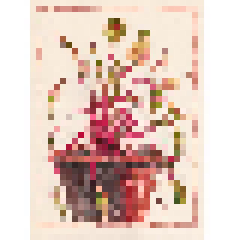 Этюд [Всходы.]