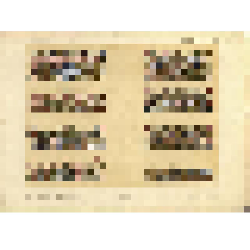 Лист XCI (91). Русский орнамент XVI в. Из альбома «История русского орнамента. С X по XVI столетие. По древним рукописям»