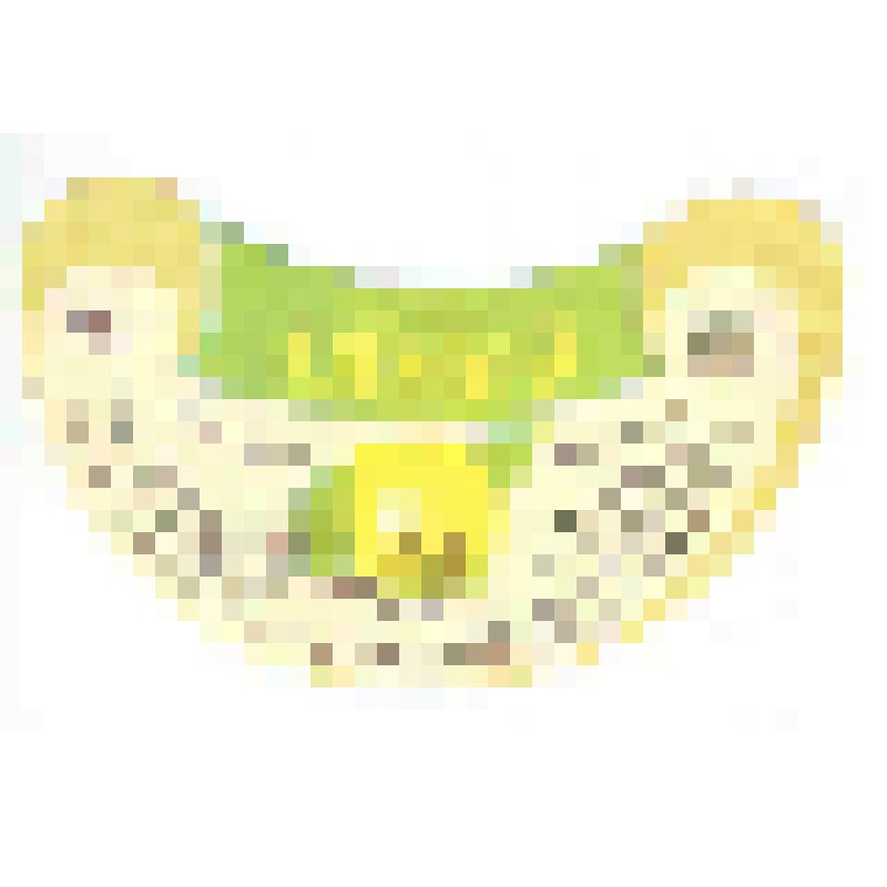 Кольеретка-этикетка горловая к напитку «Лимон» производства Рязанского ПО пивоваренной и безалкогольной промышленности, из коллекции кольереток – этикеток горловых к безалкогольным напиткам