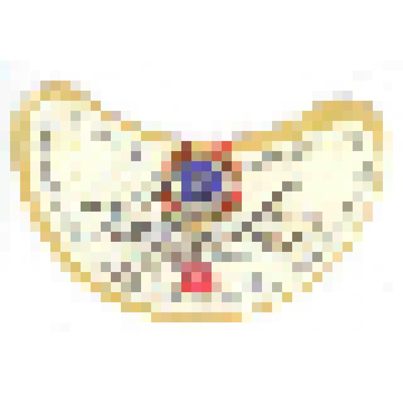 Кольеретка к пиву «Кишиневское» производства Кишиневского пивзавода, из коллекции кольереток - этикеток горловых к бутылкам для пива