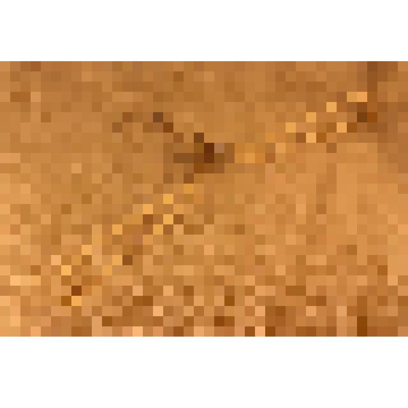 Вешалка складная (плечики) для одежды, из коллекции материалов документальных и предметов быта от сотрудников Саратовского областного музея краеведения