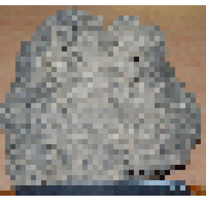 Палыгорскит