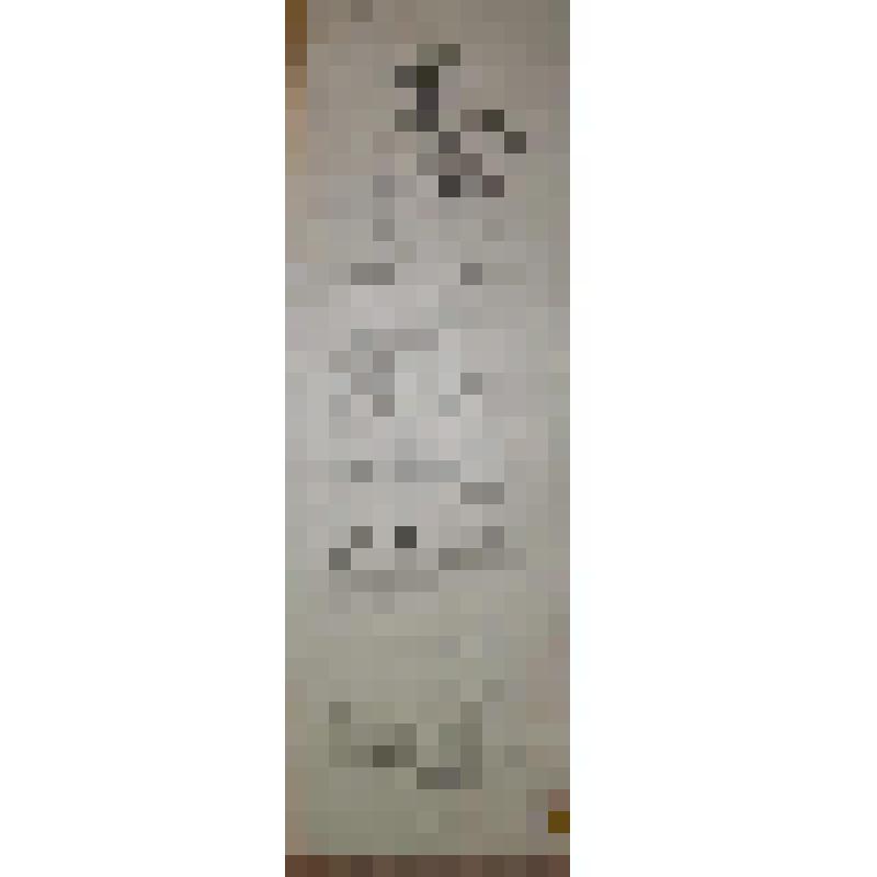 Программа с исполнителями. "Смерть Ивана Ильича" (Режиссер - К.И.Нежданов); "Дочь русского актера". Архангельск, Городской театр. Дирекция А.М.Строганова и П.И.Серова