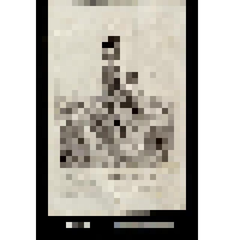 Un soi disant Négociant, victime de ses victimes, fou 