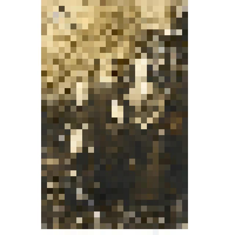 Фотография групповая. Гамалей Б.В. с семьёй