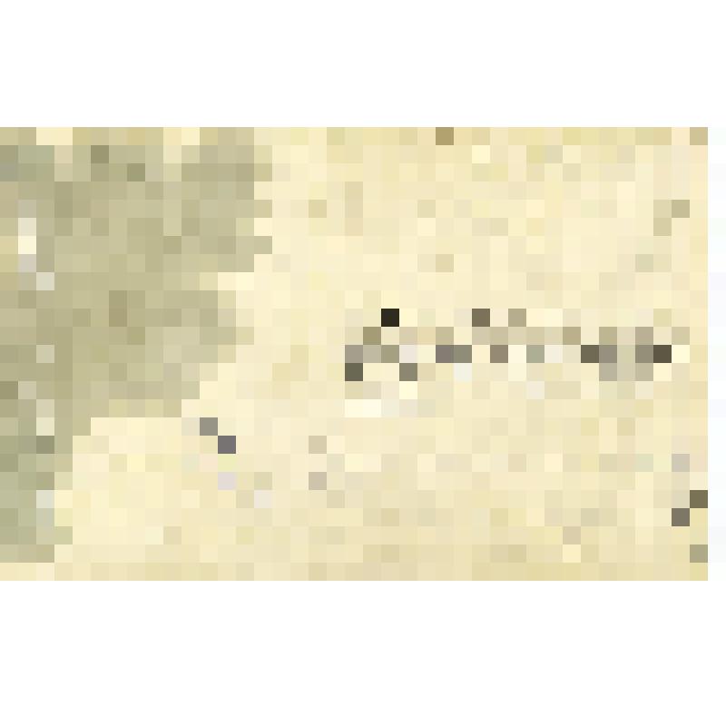 Фотография групповая. Гамалей Б.В. с семьёй