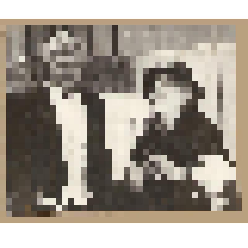 Фотография. Сцена из спектакля "Юбилей" - А.П.Чехов