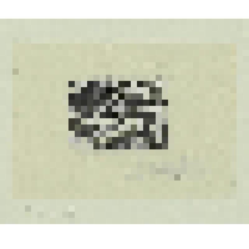 Концовка к стихам Ф. И. Тютчева. гравюра