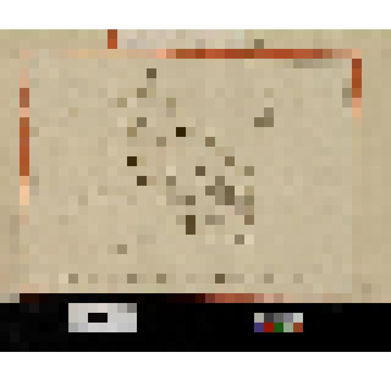 План Сэндли Гров. "Plan of Sandley Grove"