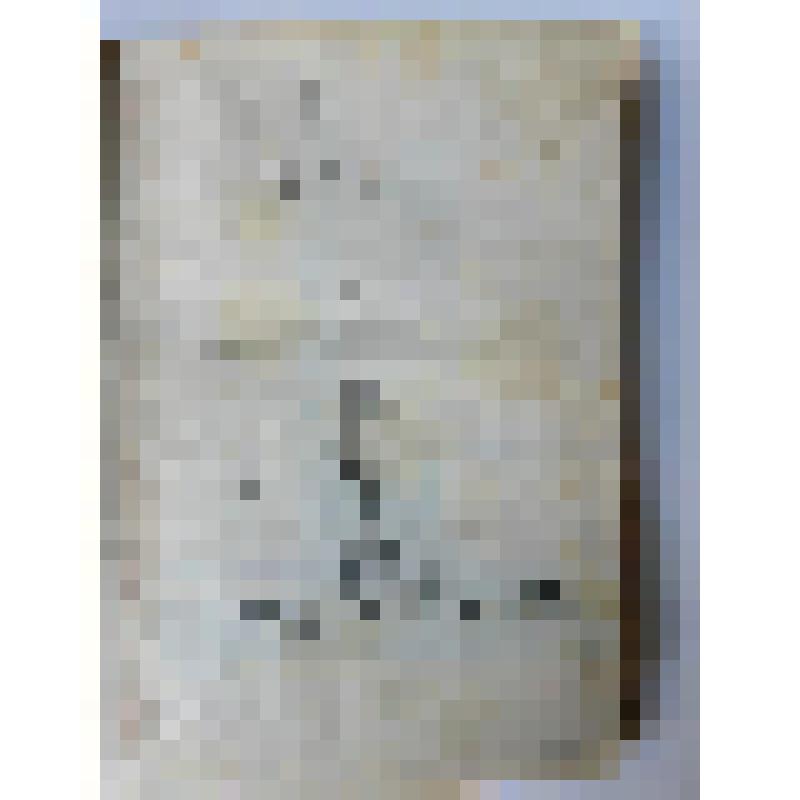 Альбом с проектными чертежами, с эскизами, зарисовками архитектурных памятников и деталей, произведений скульптуры и декоративно-прикладного искусства, пейзажными зарисовками, тематическими рисунками исторического жанра и по мотивам воспоминаний детства и