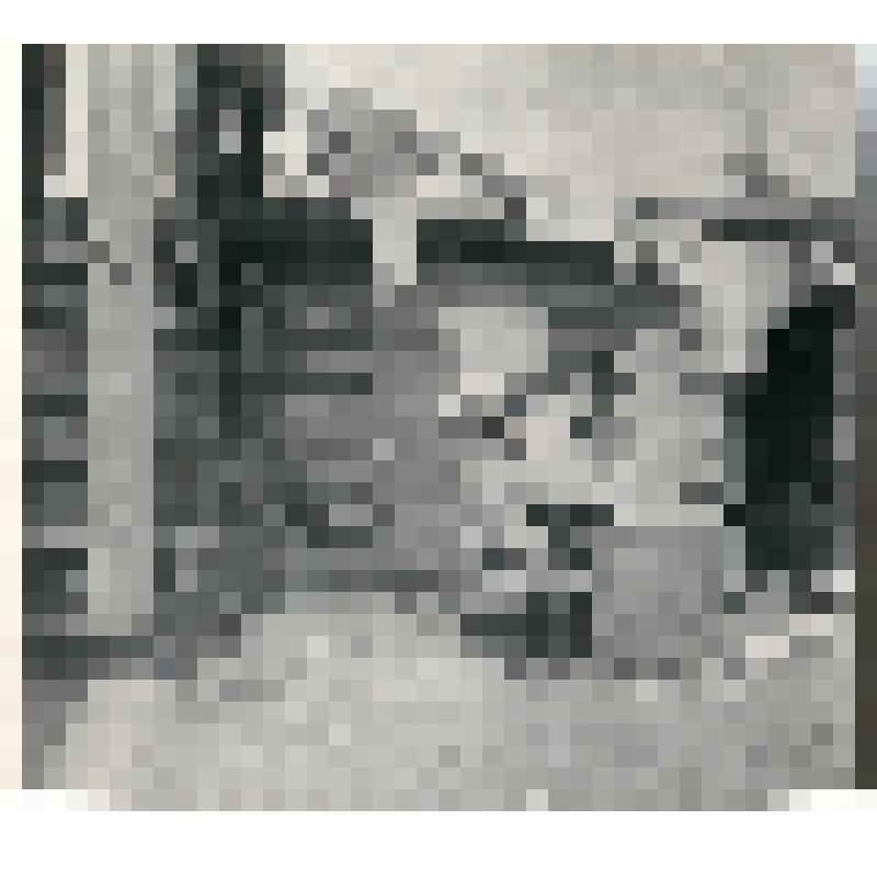 Фото. Диковский С. с няней