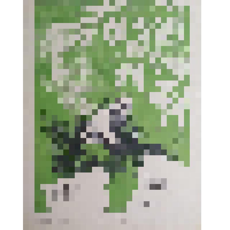 плакат. Фильм: Желаю успеха. 1980