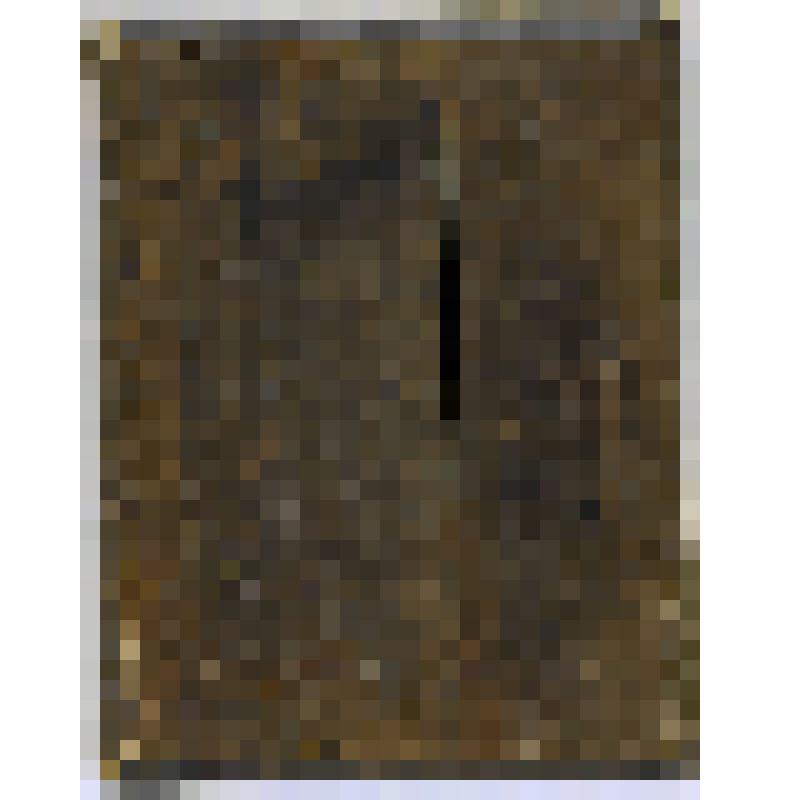 Икона «Серафим Саровский»