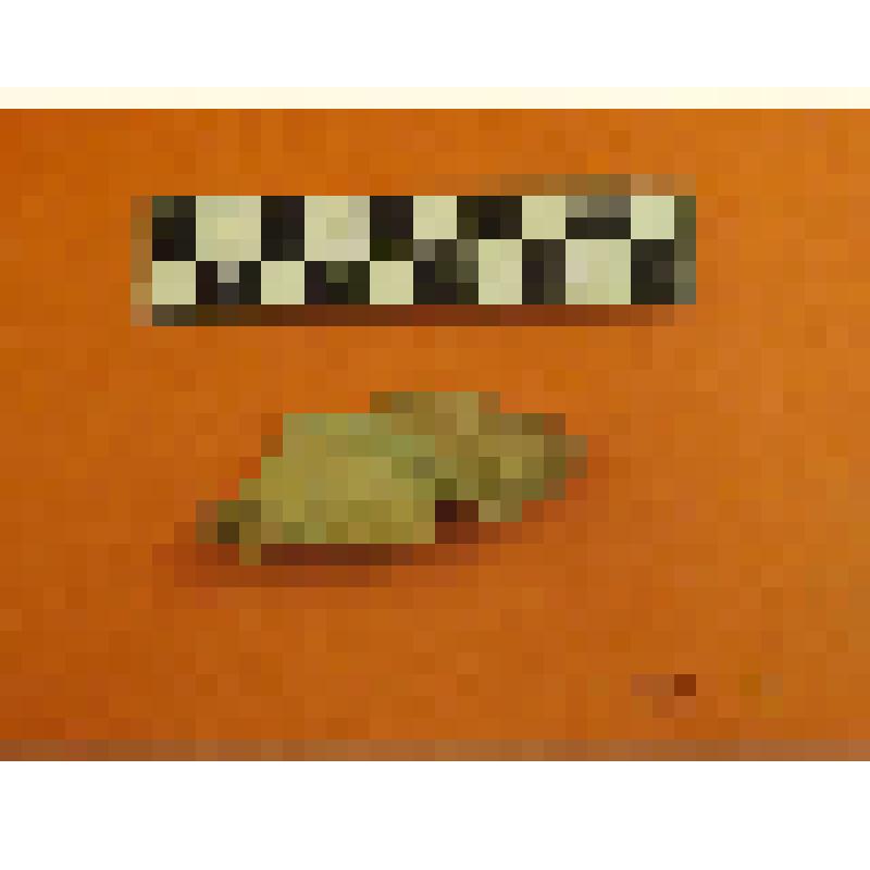 каменный нож-скребок