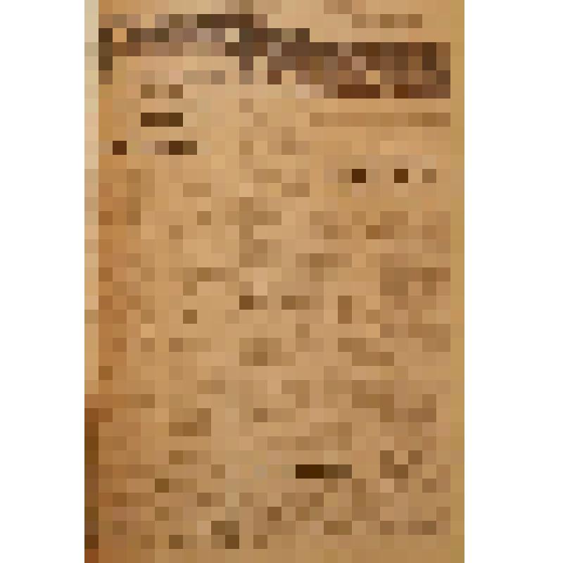 Газета «Рабочая трибуна» № 49 (5089) суббота,  19 июня 1993 года