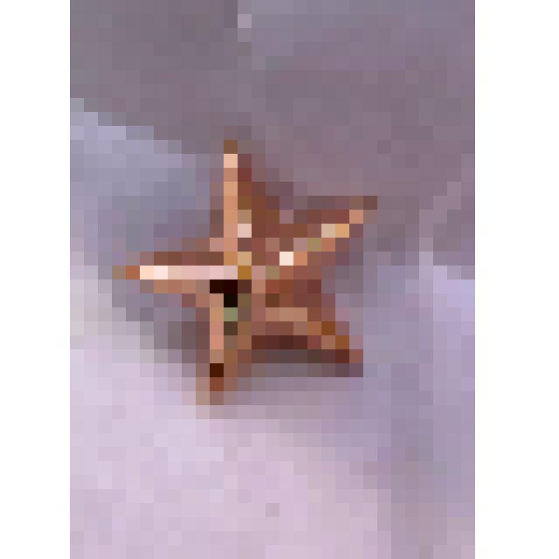 Звездочка на погоны