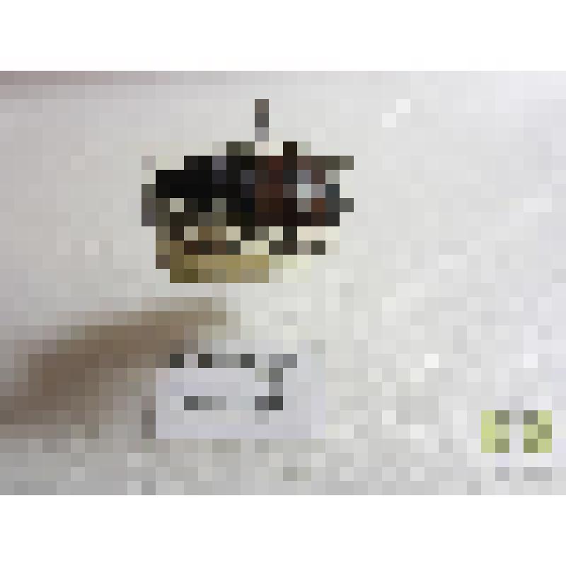 Могильщик чернобулавый (Necrophorus vespilloides Hbst.)