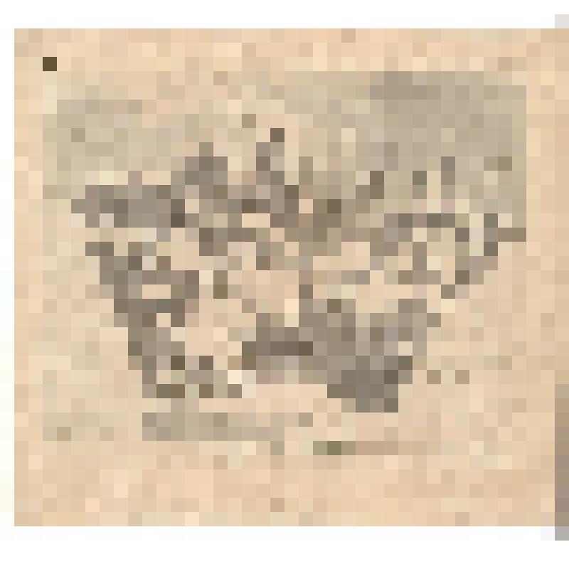 Аллегория  Милосердия, Мира, причастия Св. Даров