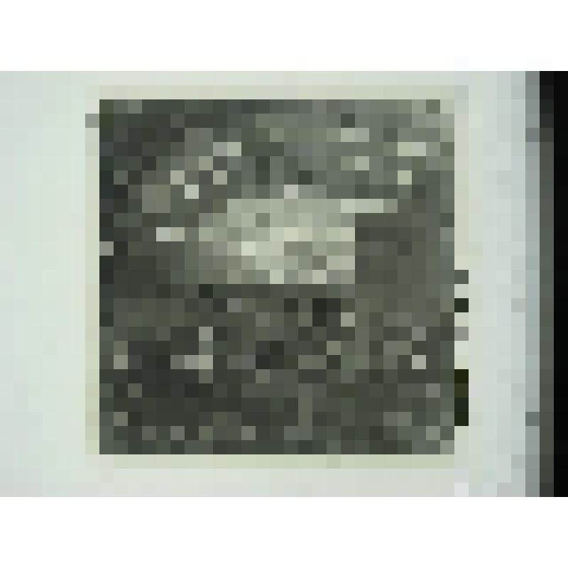 Усадьба управляющего Кусинским заводом. Главный дом. улица Андроновых, 13. 1895 г., 1909 г. Челябинская  обл., Кусинский р-н, г. Куса. Усадьба управляющего Кусинским заводом. Конюшни. улица Андроновых, 13. 1895 г., 1909 г. Тележников Ф. А. Окно северного