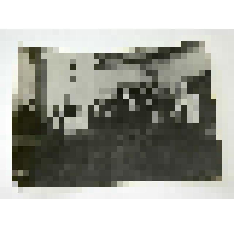 Фото. Пузырев Александр Яковлевич (учитель пения, регент хора церкви Кадетского корпуса, содержатель частной музыкальной школы на ул. Московской (Ленина-65) с учениками своей школы