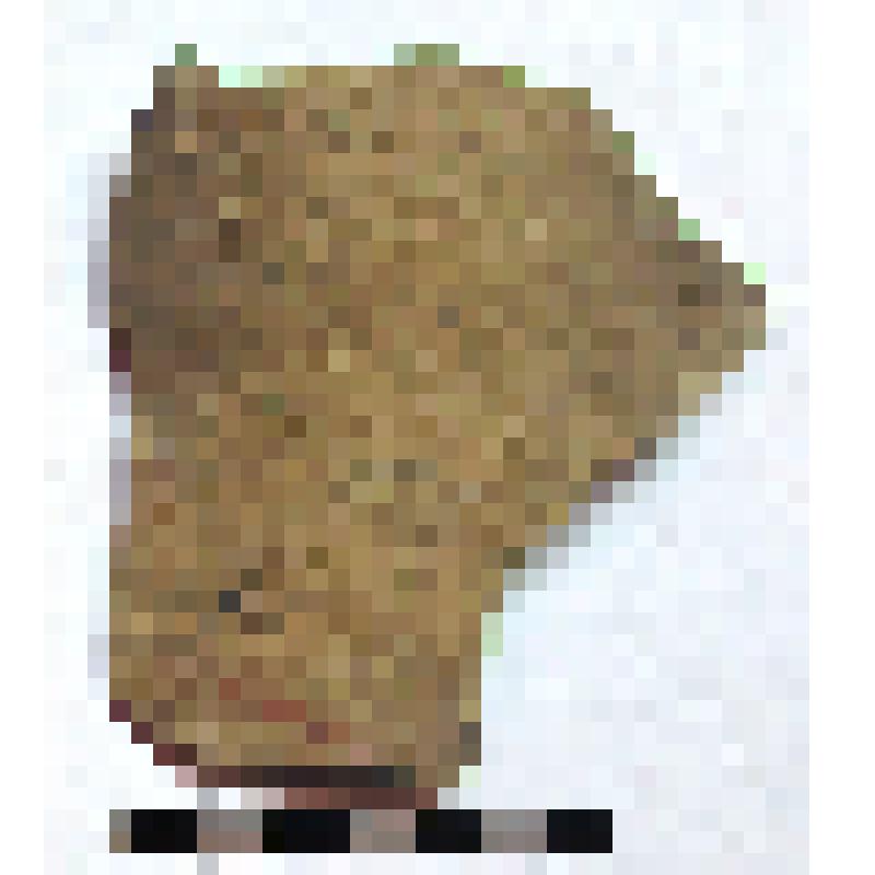 Фрагмент нижней части горла амфоры типа D с дипинто