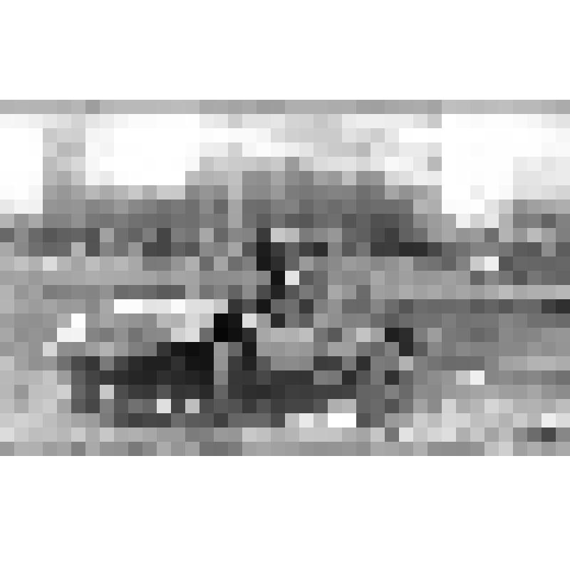 Серия фотографий с авторской фотовыставки "Мой взгляд". Фото цв. Багги. 1985 г