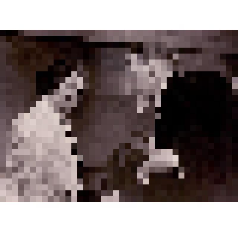 М.И. Калинин вручает орден Юферевой