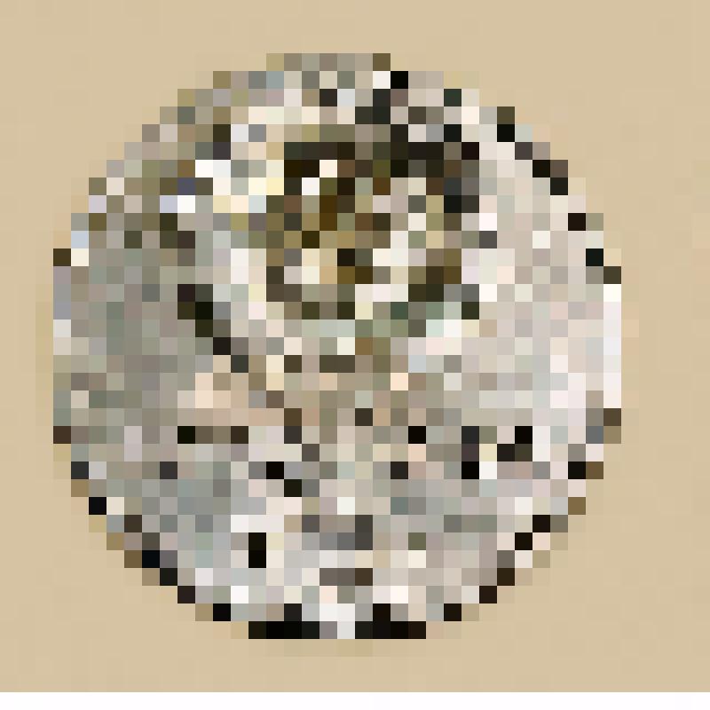 Монета 1 рубль