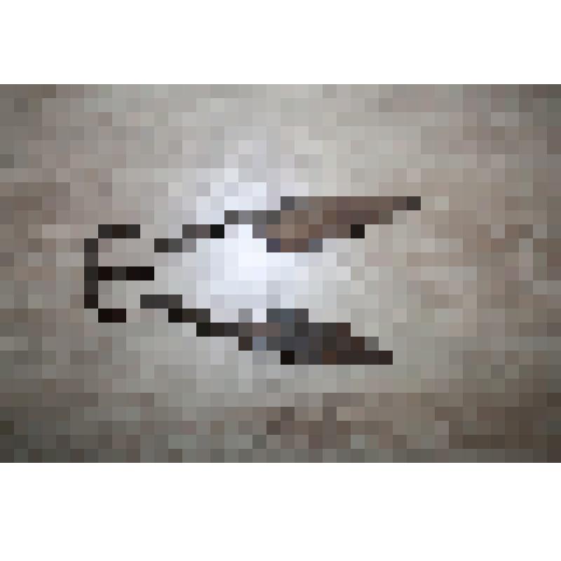 Ножницы для стрижки овец