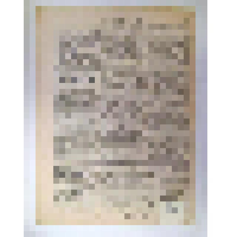 Газета. Родина: Еженедельная общественная и политическая газета. – СПб: Изд. А.А. Каспари, 1905. – № 22