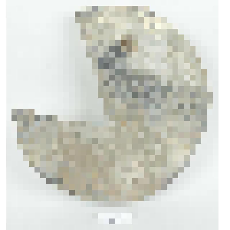 Черепица круглой формы чернолощеная