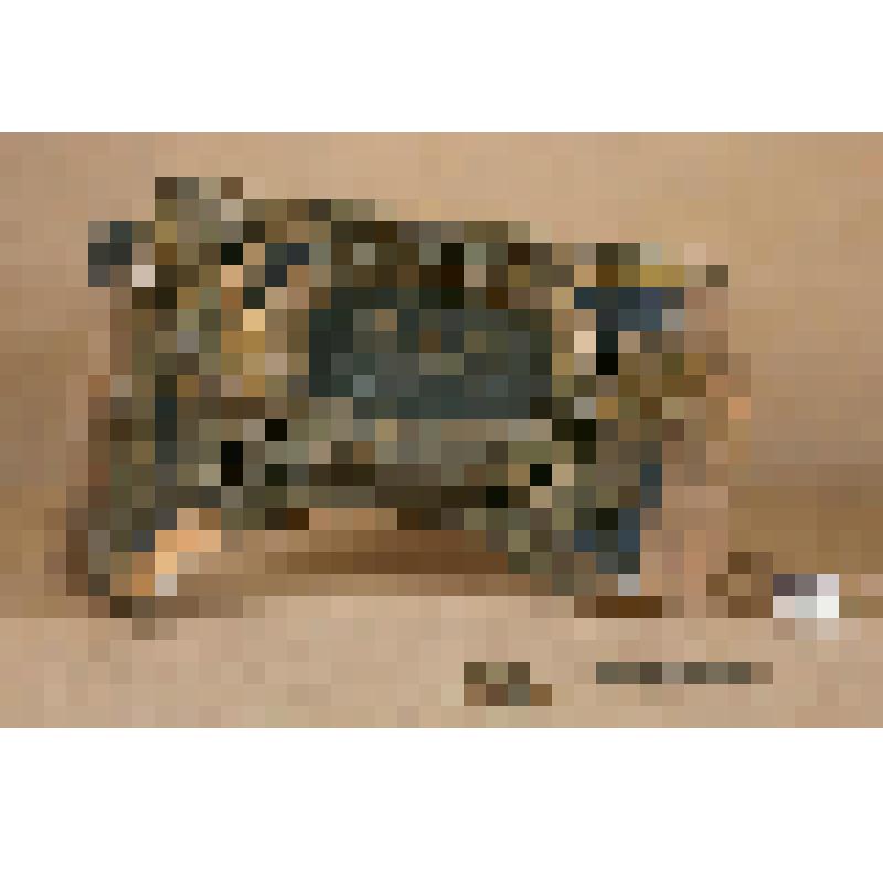 Сень от алтарных дверей