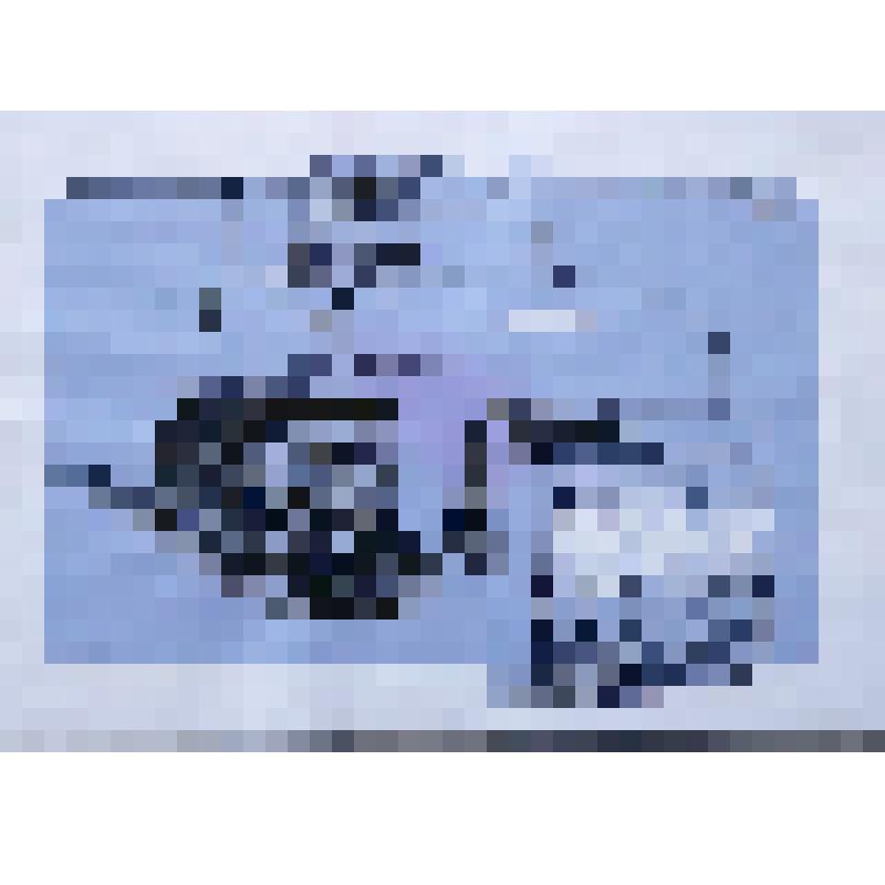 Компьютерная графика . Карикатура "Каток"