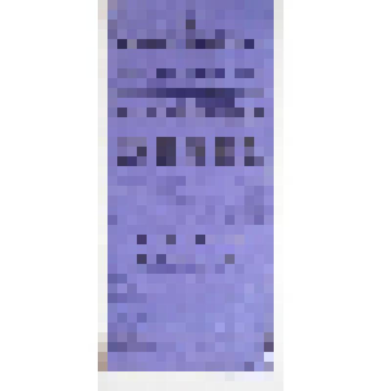 Афиша с исполнителями. "Шиповник"; "Секретное предписание". Алатырь; Любители, Любители драматического искусства