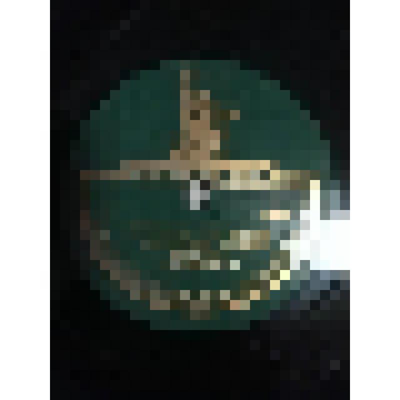 Грампластинка. Письмо Татьяны из романа в стихах А. Пушкина "Евгений Онегин". Исполняет А. Тарасова. "Евгений Онегин". Москва, Московский Художественный академический театр СССР им. М. Горького