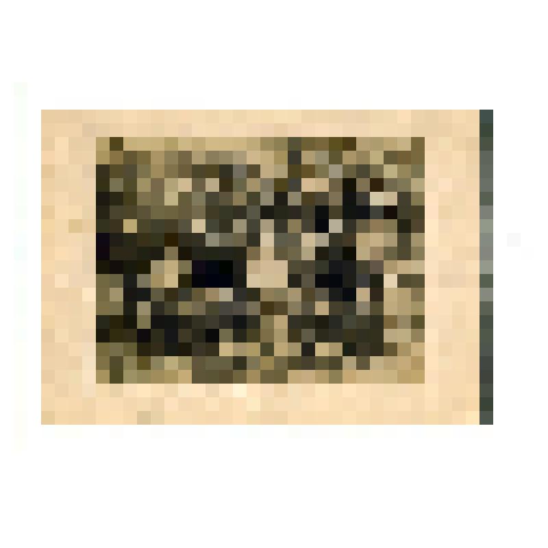 Фотография чёрно-белая. Фотография
