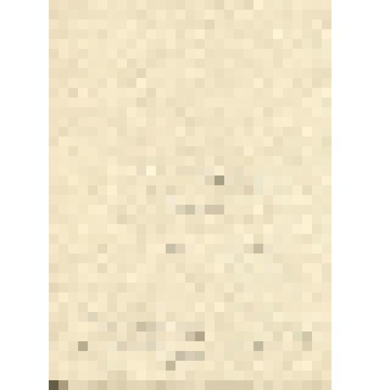Иллюстрация к "Заговорщикам" Руффини