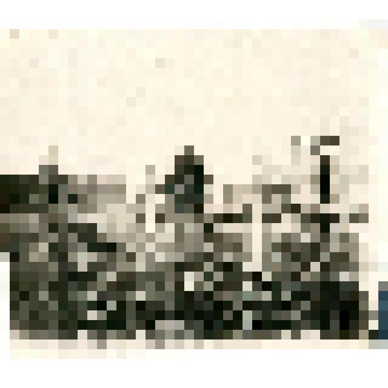 Фотография. Выезд сотрудников в Ляховской ПОС на охоту на диких оленей