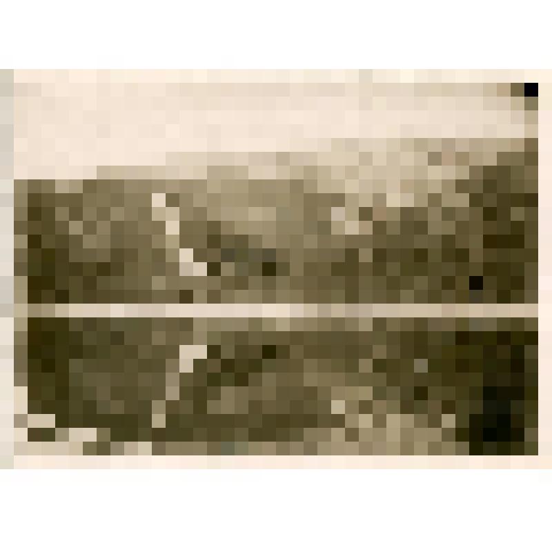 Фотография. Гора в устье р. Хандыга на правом берегу р. Алдана, в 640 км. от устья