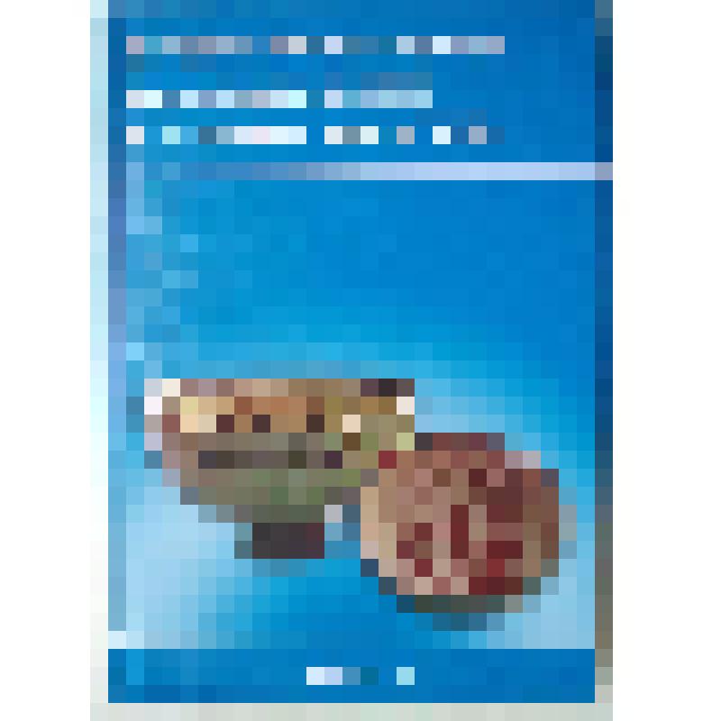 Книга "Историко-археологические исследования в Азове и на Нижнем Дону в 2011 г." в. 27