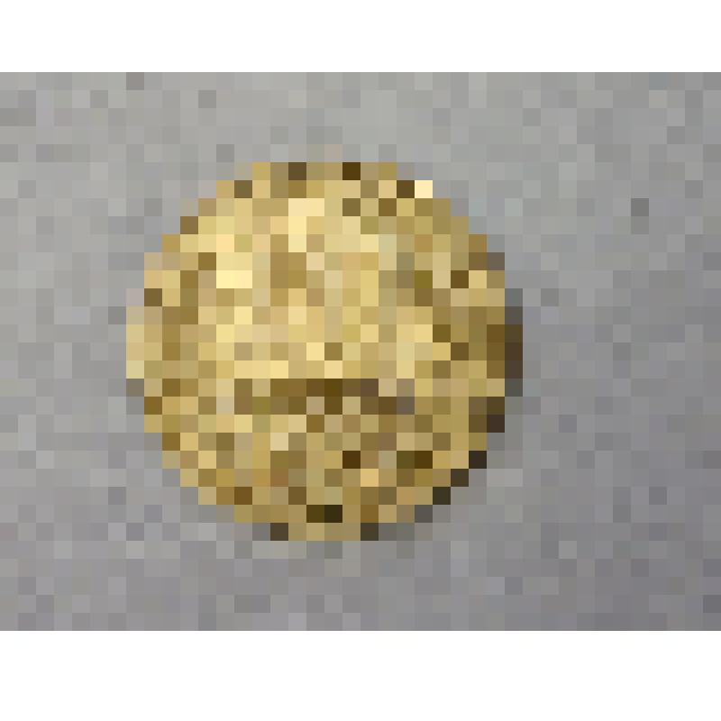 Монета достоинством 10 копеек