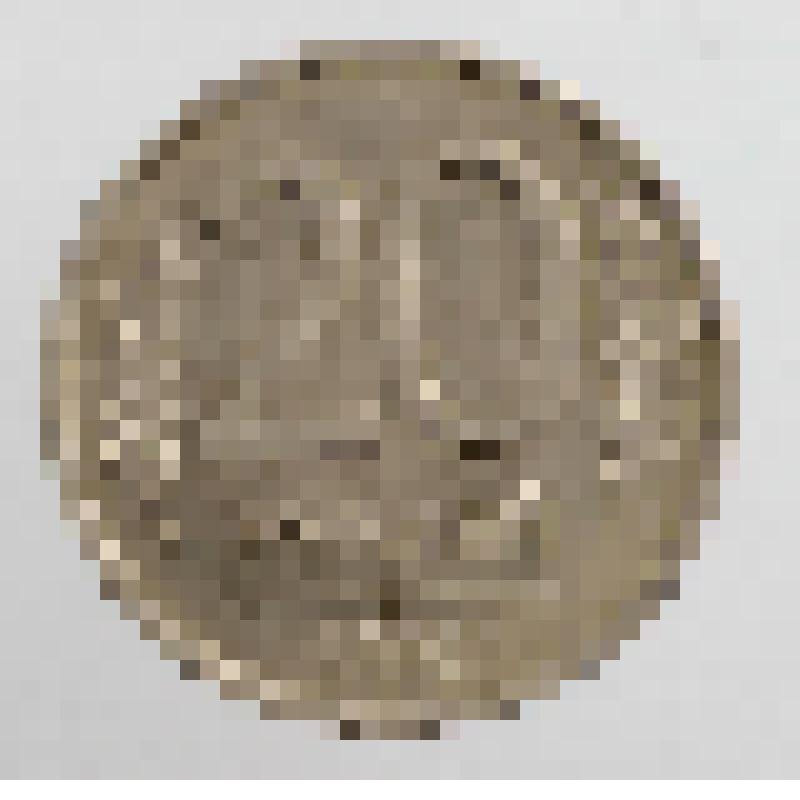 Монета. 20 рублей. Российская Федерация