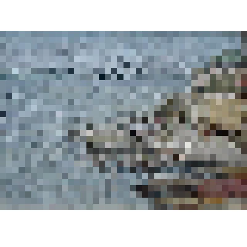 Штиль. Этюд