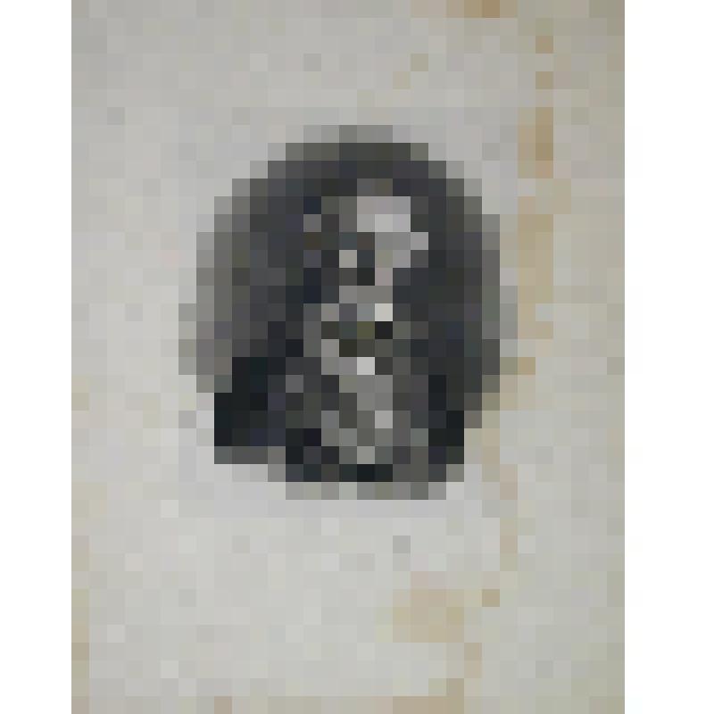 Портрет графа Ф.П. Толстого