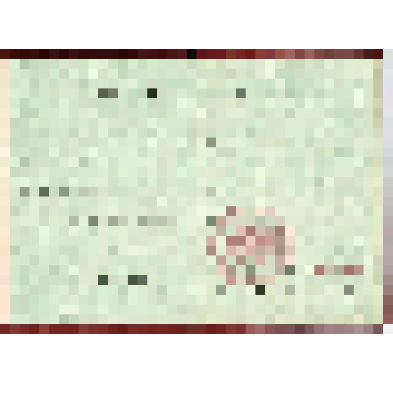 Орденская книжка ж№ 255929, Харламова С.Ф