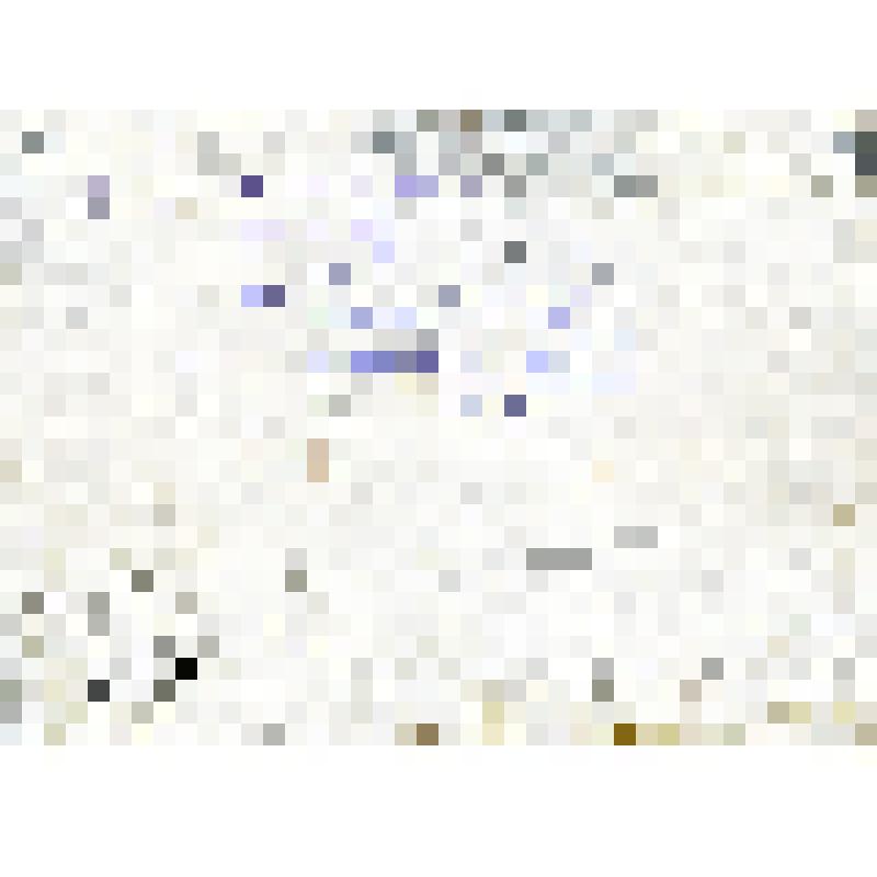 Фото (групповое) на паспарту. Участники республиканского совещания агрономов