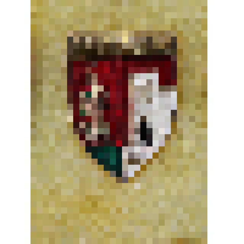 Значок в виде герба города JUD.CETATE-ALBA