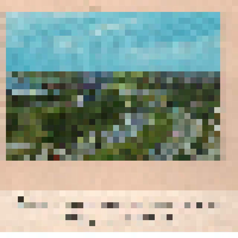 Фотоальбом экипажа теплохода "Воткинск"